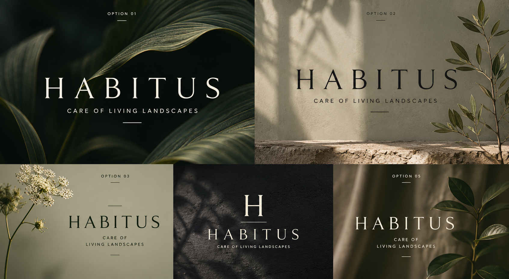 Old Money Typografie